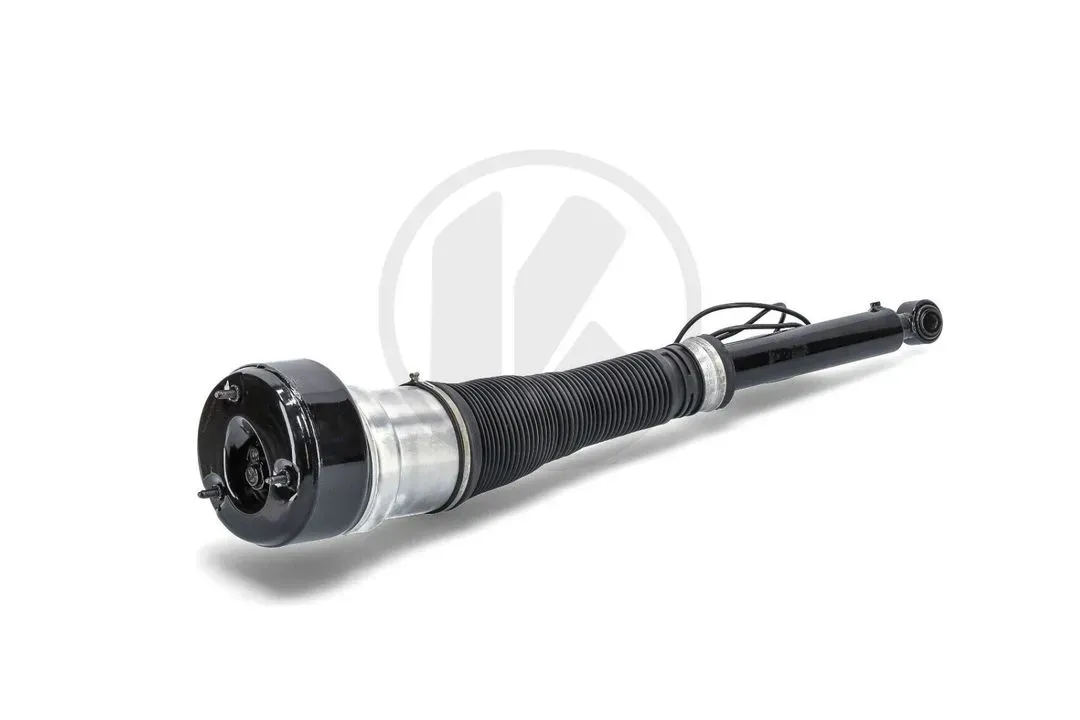 AIR SUSPENSION STRUT - REAR LEFT